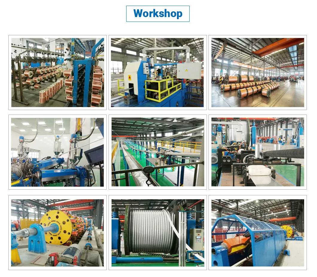 300/500V, 450/750V H07rn-F 4mm2 6mm2 10mm2 16mm2 25mm2 35mm2 Copper Conductor Epr Insulated Welding Flexible Electric Rubber Cable 1